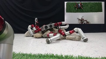 Static Landmark Tracking during Straight Line Motion (Open-Loop)