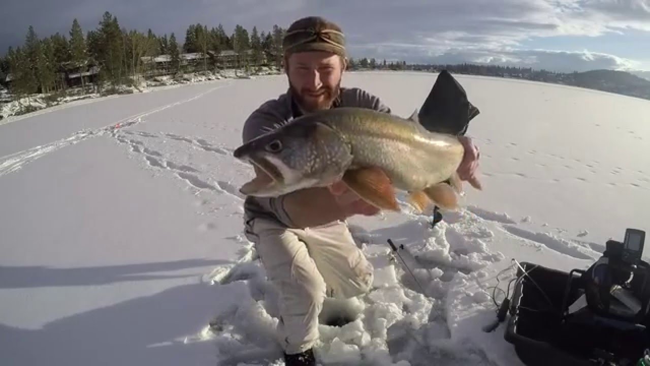 Ice Fishing Lake Trout, Montana 2016 YouTube