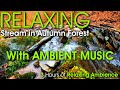 3 Hour Relaxing Rocky Stream with Soothing Sounds of Water, Nature and Music