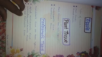 Science file project | Topic - Tissue. #sciencefileprojecttissue