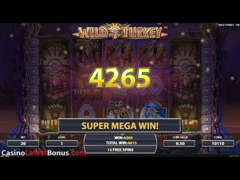 Spill med WildSino Casino - Norges beste nettcasino