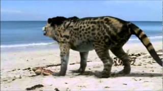 Extinct mammals: The Andrewsarchus