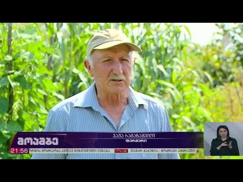 დაანონსებული პროგრამები ხვალიდან ამოქმედდება