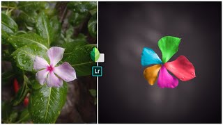 Creative Flower Photography | Colorful Photo Editing in Mobile || Snapseed & Lightroom Editing Video screenshot 5