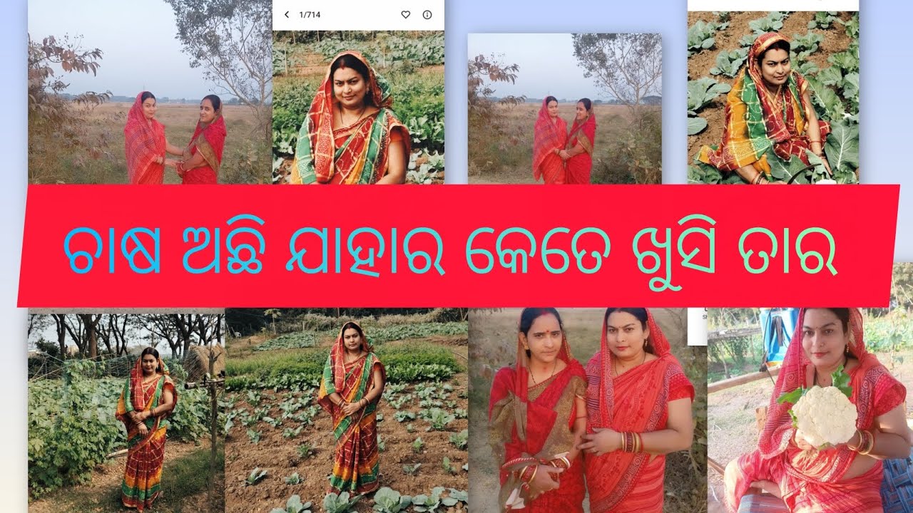 ଚାଷ ଅଛି ଯାହାର କେତେ ଖୁସି ତାହାର 