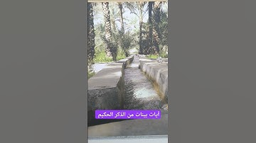 آيات بينات من الذكر الحكيم #كن_مع_الله_ولا_تبالي #قران_كريم