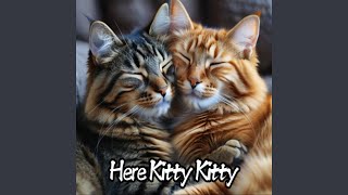 Here Kitty Kitty