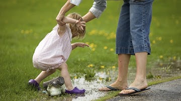 Poynter Landscape web presentation