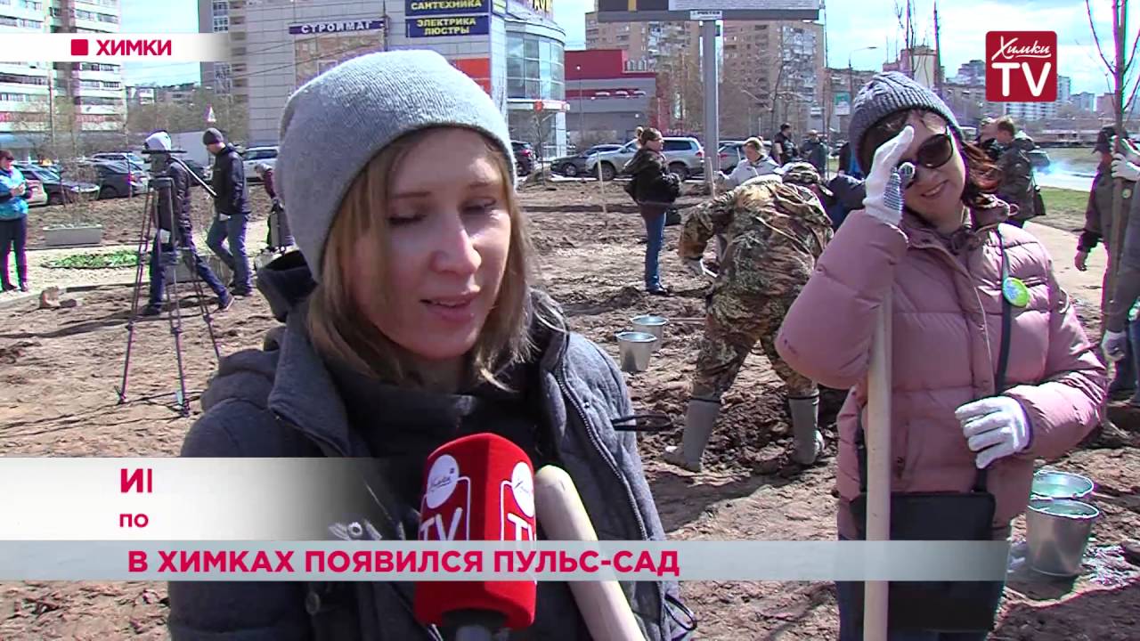 фк пульс корпоративный транспорт. ооо озон фарм. пульс фармацевтическая компания. пульс брянск. финдиректор фк пульс.