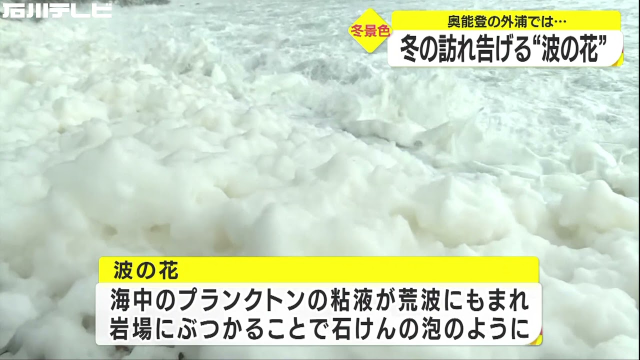 奥能登に冬の訪れ告げる 波の花 海中のプランクトンの粘液が荒波にもまれ 泡 のように 石川 Youtube