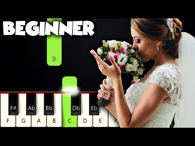 Beautiful In White - Westlife | BEGINNER PIANO TUTORIAL + SHEET MUSIC by Betacustic class=