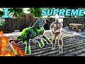 Nouvelle aventure sur supreme sur ark survival evolved  ark supreme 1