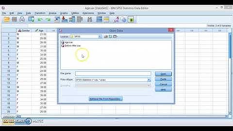 Getting Started with IBM SPSS
