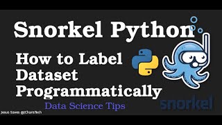 Snorkel Python Tutorial  - Labeling Datasets  Programmatically
