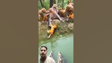 The confusing behavior of animals All animals are created equal Wonderful animals | #wildliferescue