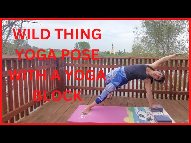 WILD THING YOGA POSE WITH A YOGA BLOCKS 