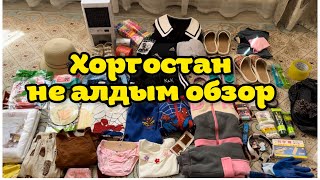 VLOG Хоргостан не алдым Обзор