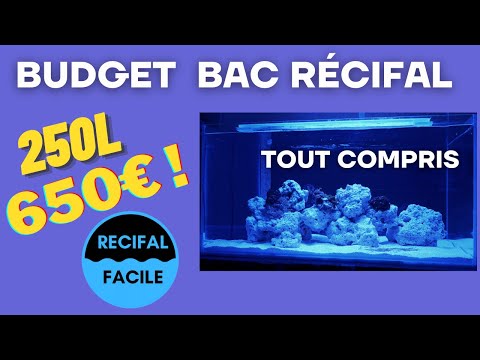 Vidéo: Comment mélanger l'eau salée pour un aquarium : 13 étapes (avec photos)