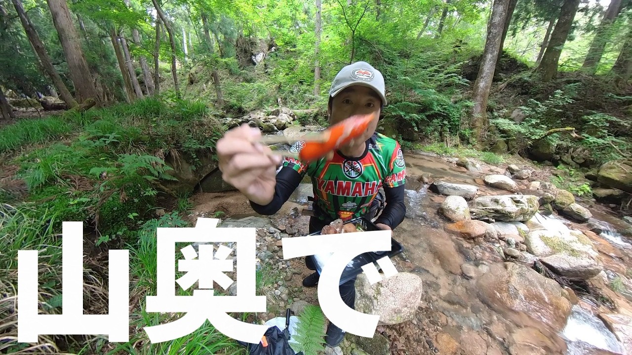 【兵庫県】避暑地(秘境)で最高の唐揚げ弁当を食べる【マイナスイオン浴びまくり】