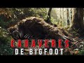 El misterio de los cadaveres de bigfoot  criptozoologia