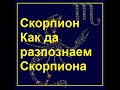 Зодия СКОРПИОН  ♏ Как да разпознаем Скорпиона български Линда Гудман