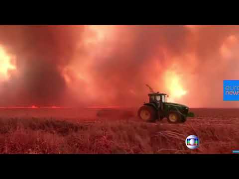 ხანძრები ბრაზილიის ტროპიკულ ჯუნგლებში