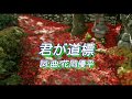 君が道標 (花岡優平) Junpei Ikeda