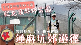 紅花嶺郊野公園蓮麻坑郊遊徑[香港行山郊遊路線]4K拍攝 最初級角度分享郊遊徑新手行山最基本注意事宜|Feat瑞一寶