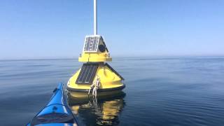 Port Sheldon Buoy 45029