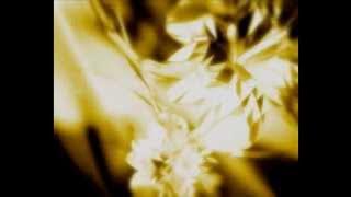 Tusia ft. Krzysiekclaris - Golden key (Isgaard cover)