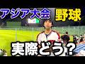【現地のリアル】愛知アジア大会の野球をほぼ毎日観戦して分かったこと