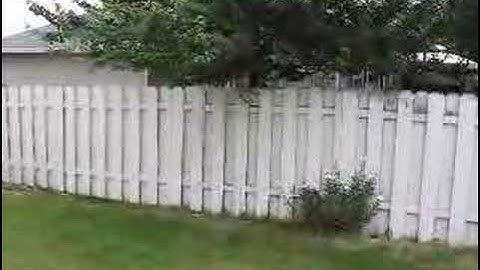 annoying neighbors dogs