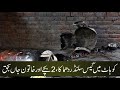 Peshawar Kohat Gas Cylinder Phat Gets Khatoon Smait 3 Afrad Jhiulas Kar Janbahaq 4 Zakhmi Tahqeeqat Peshawar Kohat Gas Cylinder Phat Gets Khatoon Smait 3 Afrad Jhiulas Kar Janbahaq 4 Zakhmi Tahqeeqat