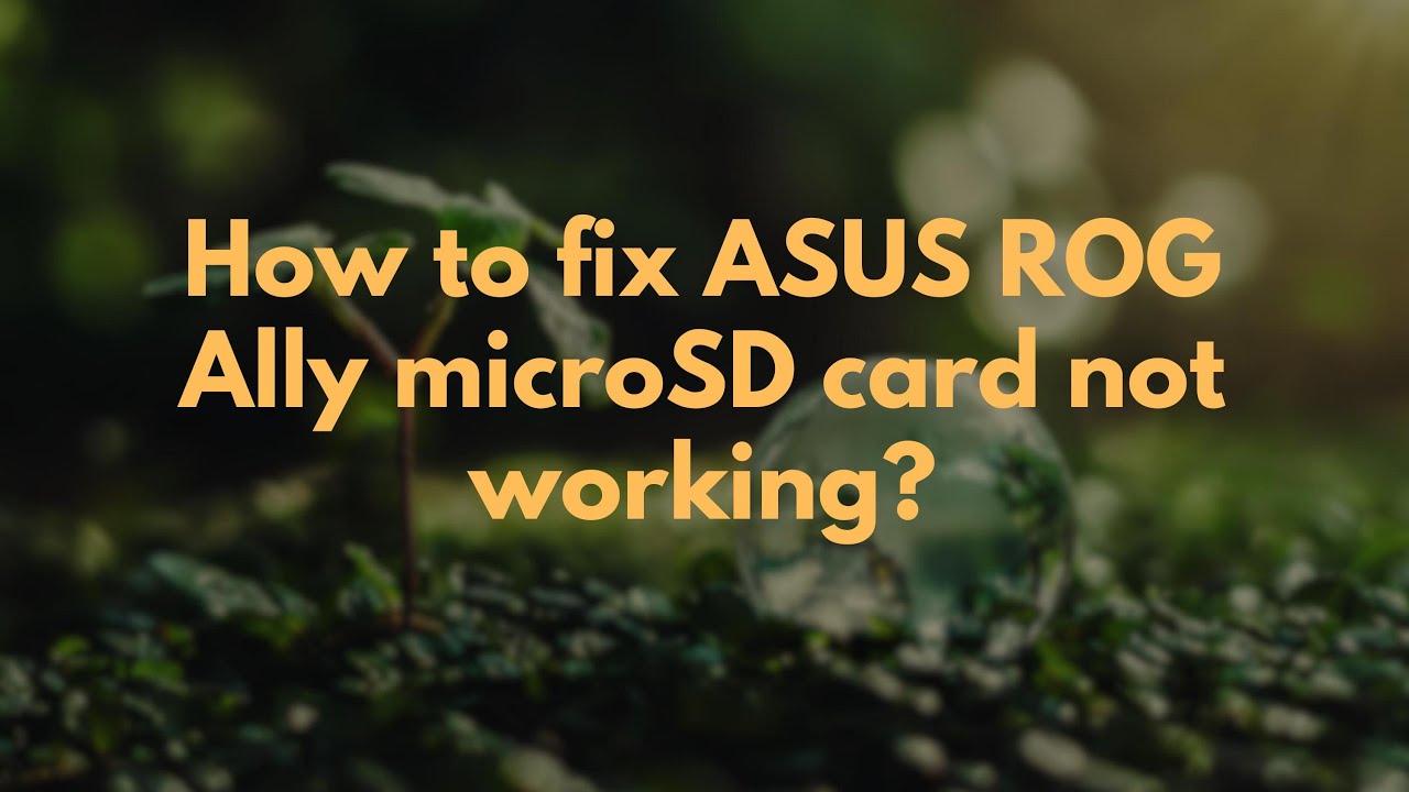 How to fix ASUS ROG Ally microSD card not working? - YouTube