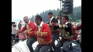 BOLU KIBRISCIK KAŞIK EKİBİ(YILAN)