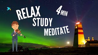 Calm Music - Short | Violin & Nature Sounds | Feel Peace in 4 Minutes | Study Sleep or Meditate