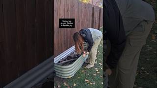 Setting up raised garden beds cheaply 🌱 #raisedbedgarden #raisedgardenbeds #gardeninspiration