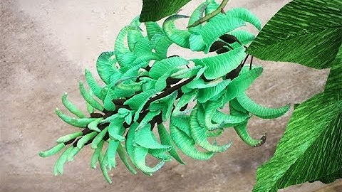 ABC TV | How To Make Jade Vine Paper Flower From Crepe Paper - Craft Tutorial