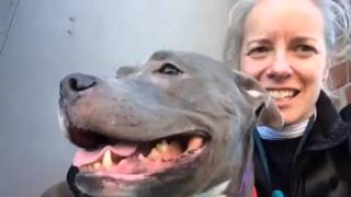 PINKY A1057596