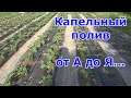 Капельный полив от А до Я.  Монтаж капельного полива на 200 метрах грядок за один день - реально.