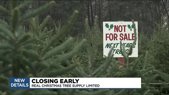 Christmas tree farm closing early for the holiday ...