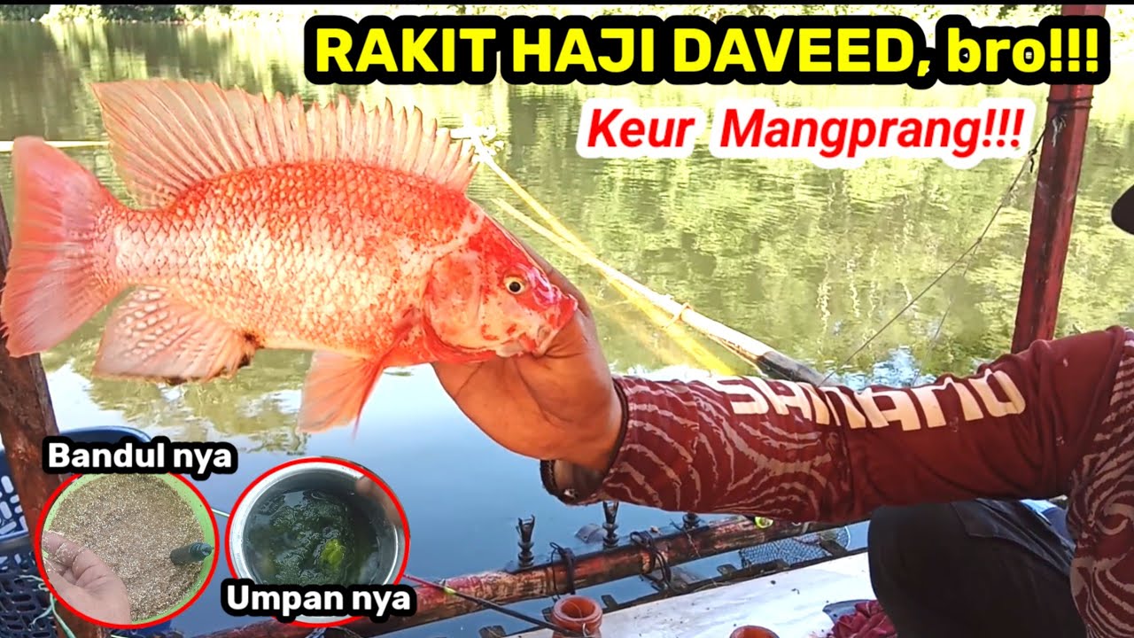 Lapak di sini lagi gacor, Boss!! TES SI HITAM DI RAKIT PAK HAJI DAVEED || MANCING CIRATA TERBARU