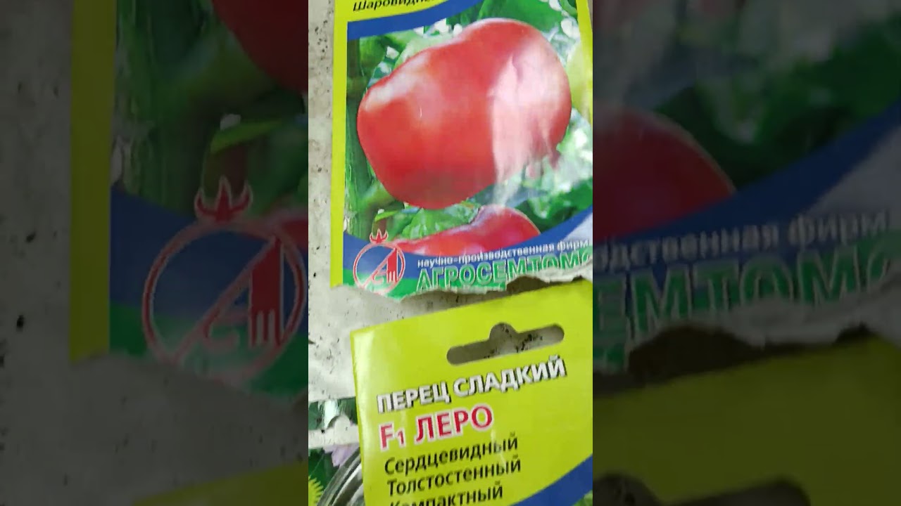 В Новый год сею перцы и баклажаны