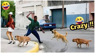 Download Lagu De grappigste filmpjes van de maand #216 - Het leven van grappige mensen, probeer niet te lachen 😂🤣🔥 MP3