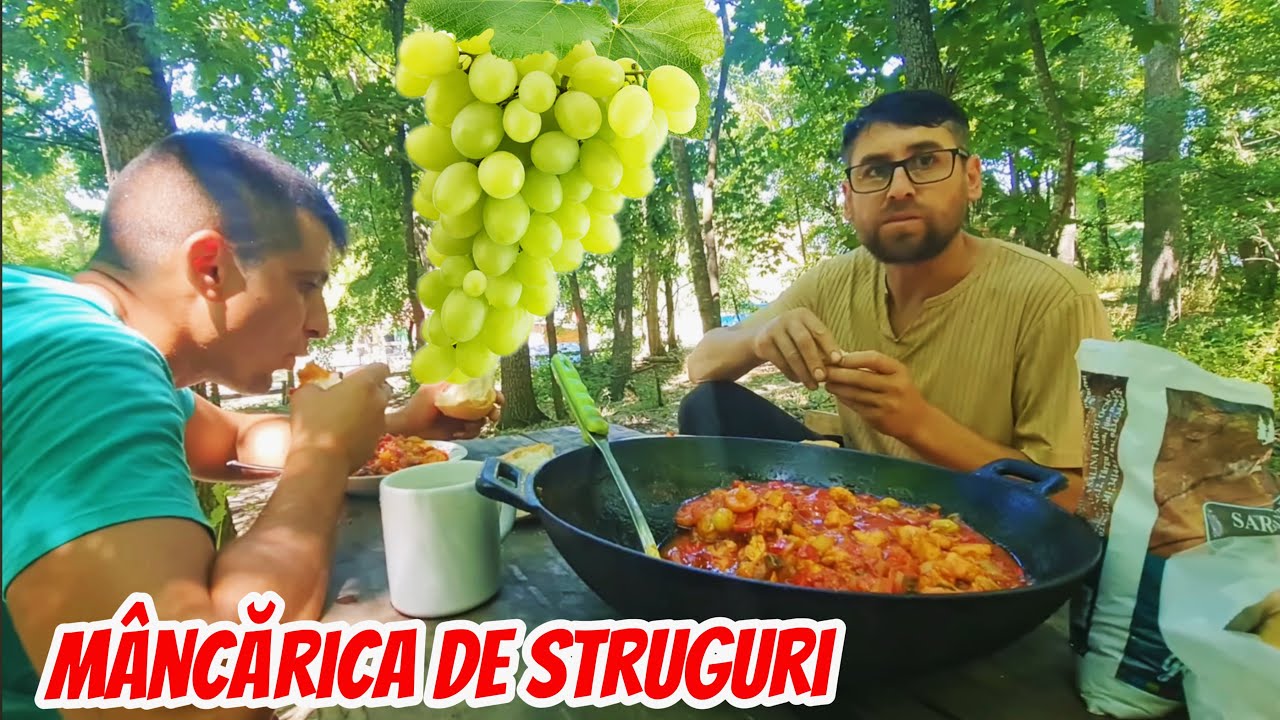Mâncărica de struguri albi cu piept de pui la Căsuța din Pădure !!