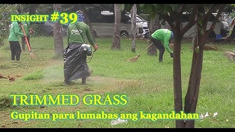 INSIGHT 39. TRIMMED GRASS | Allow mowing to build a good character | Sightseeing Tour | I SEE