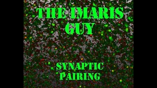 Synaptic Pairing Imaris XTension - Spots
