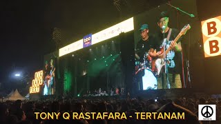 Tony Q Rastafara - Tertanam || BIG BANG FEST 2024 ||