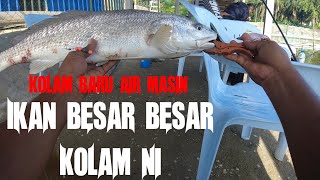 Kolam Baru Air Masin Pengkalan Balak Melaka l Mini Power 1000 l screenshot 5