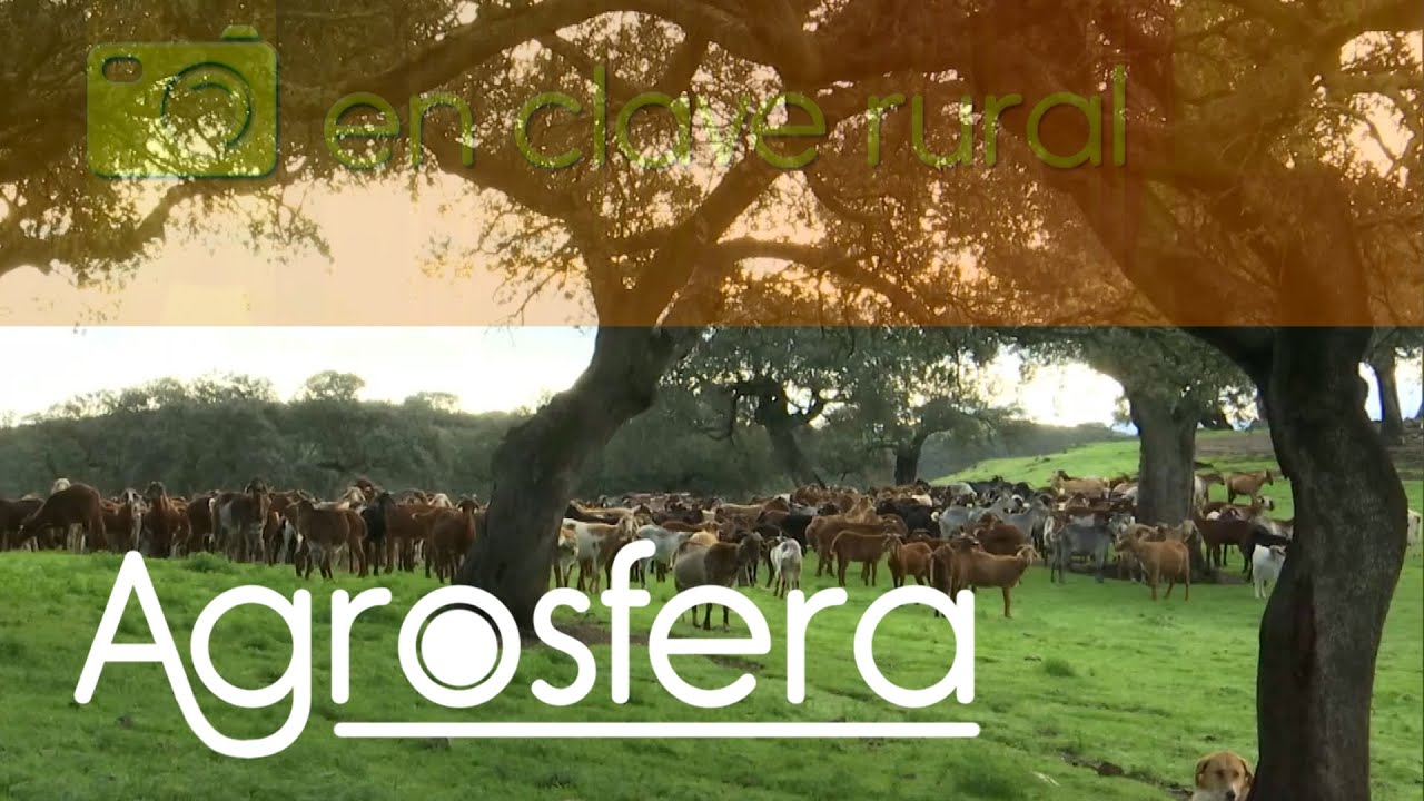 Turismo Rural Valencia del Mombuey / Badajoz | Agrosfera